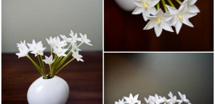 Rain Lillies