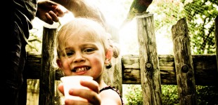 Feeding the Birds