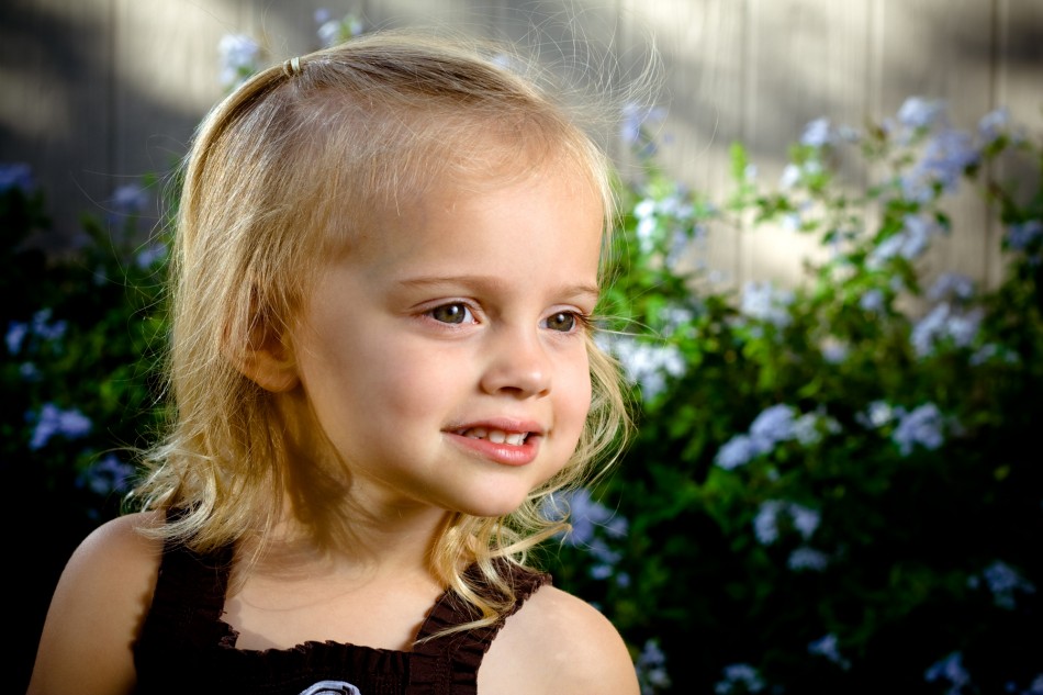Princess Audrey