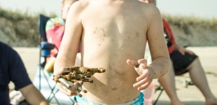 Tripp on the Beach